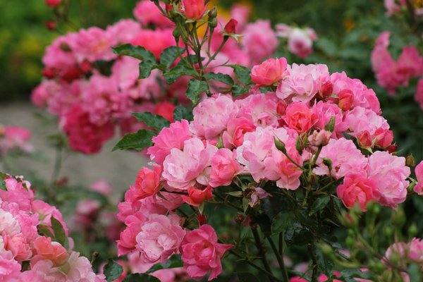 Sécurisez votre maison avec un garde-corps extérieur élégant