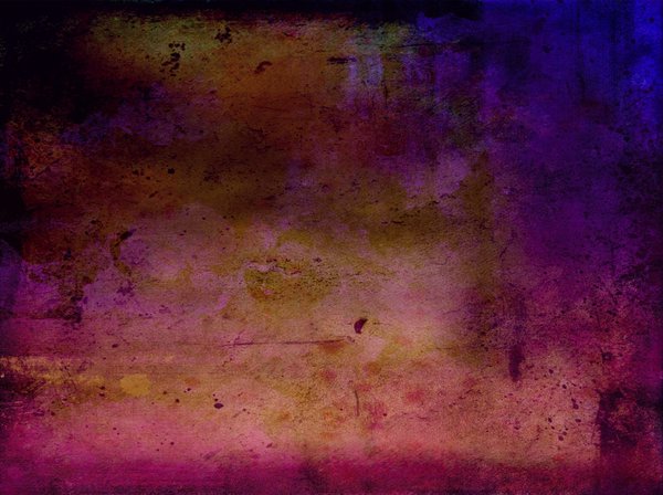 Quel type de plantes choisir pour un jardin d'ombre ?