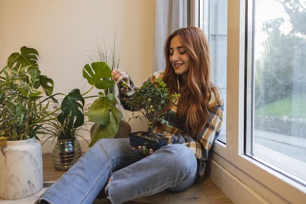 Comment entretenir un bonsaï en appartement ?