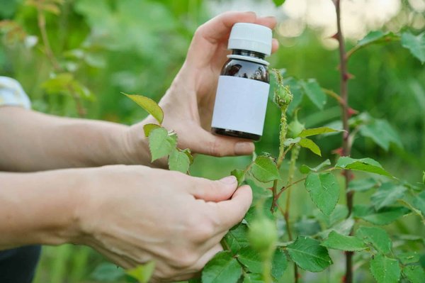 Insecticide naturel pour le jardin : combien cela coûte ?