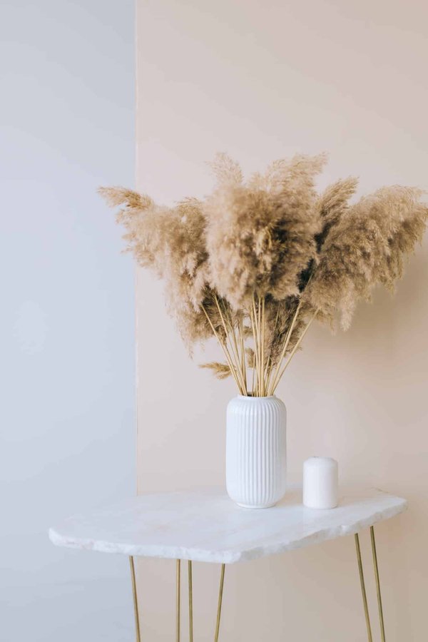 Quels sont les avantages écologiques de la fleur de la pampa ?