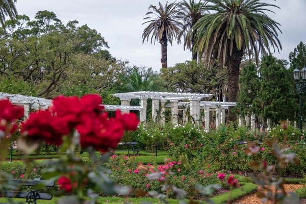 Pergolas bioclimatique en kit : confort et économie
